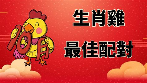 屬雞適合的生肖|生肖配對｜屬雞12生肖夫妻配對表！最佳姻緣及相沖排